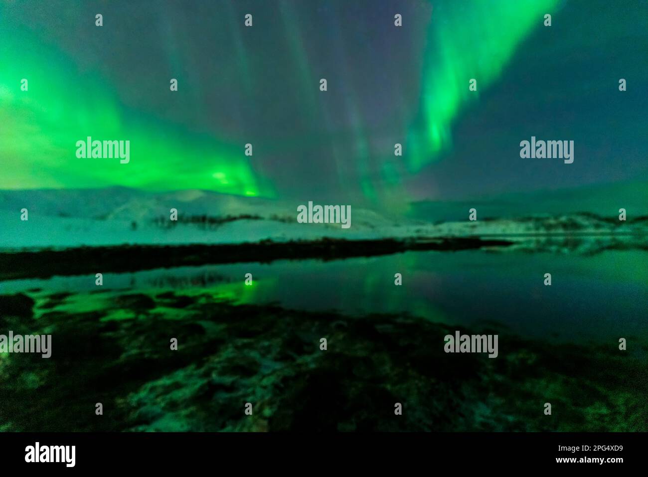 aurora borealis northern lights in tromso Stock Photo - Alamy