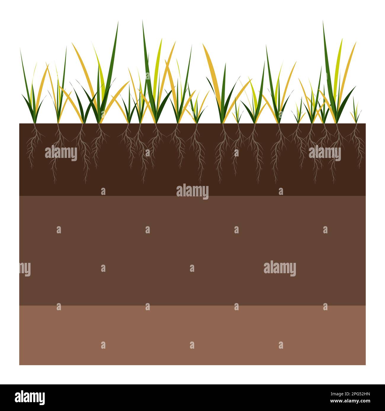 Lawn care - aeration and scarification. Labels by stage-before. Intake of substances-water, oxygen, and nutrients to feed the grass and soil. Vector Stock Vector