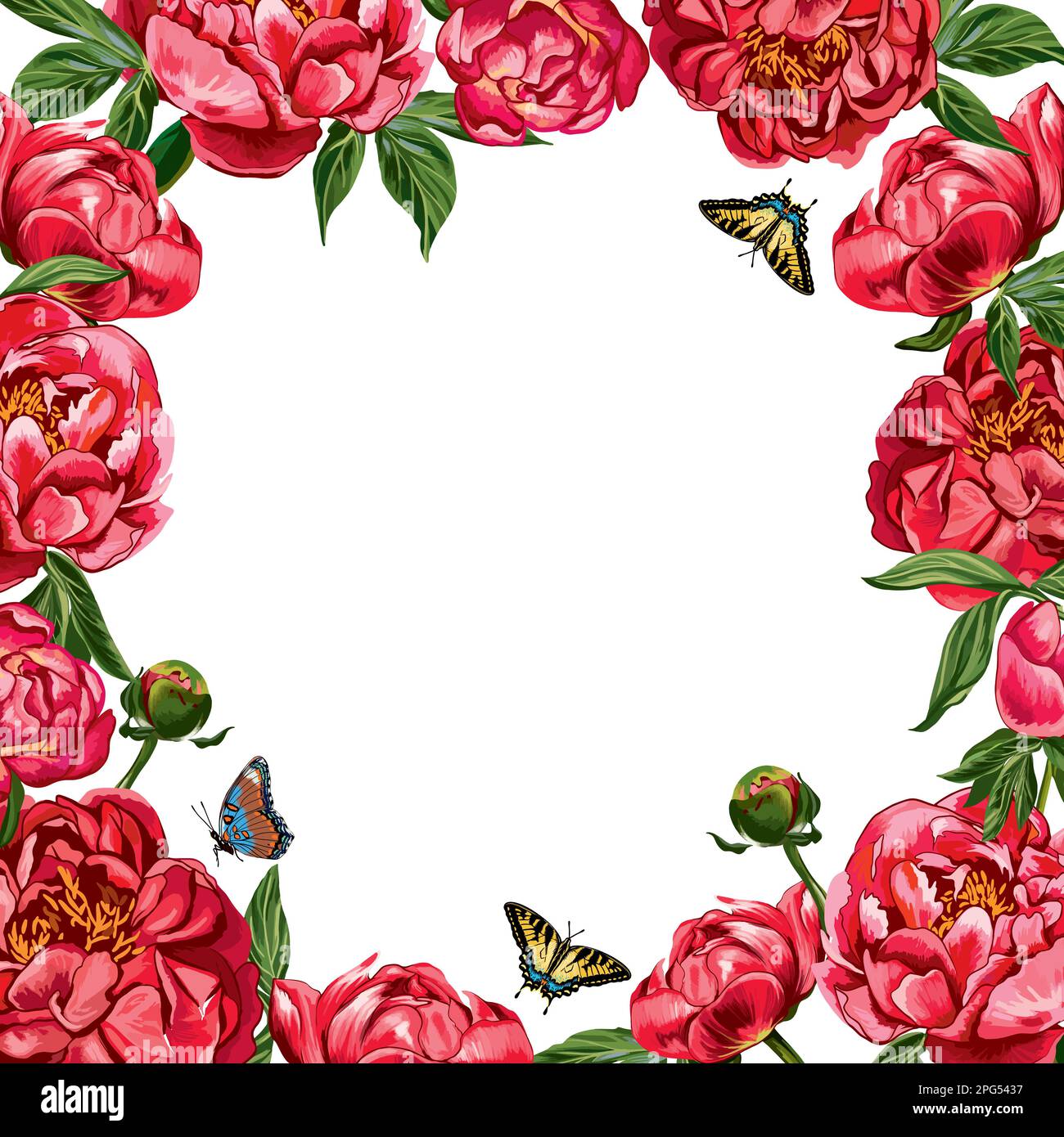 Peony frame. Vector illustration. Red vector peonies. Stock Vector