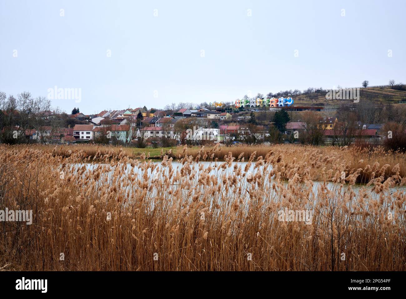 A city near the water with reeds and buildings in the background, Velke Pavlovice, czech republic Stock Photo