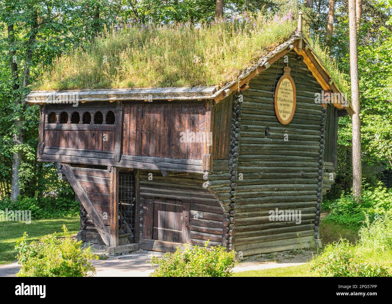Traditional Norwegian log building with grass roof in forest setting ...