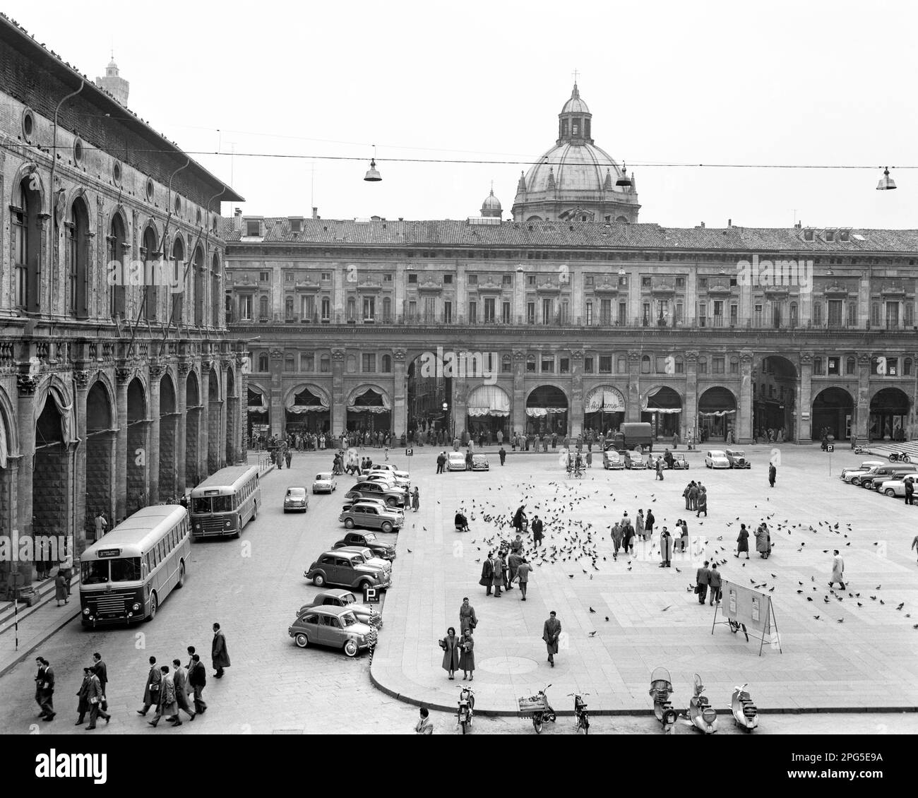 1950s PEDESTRIANS AUTOMOBILES BUSES & PIGEONS PIAZZA MAGGIORE THE