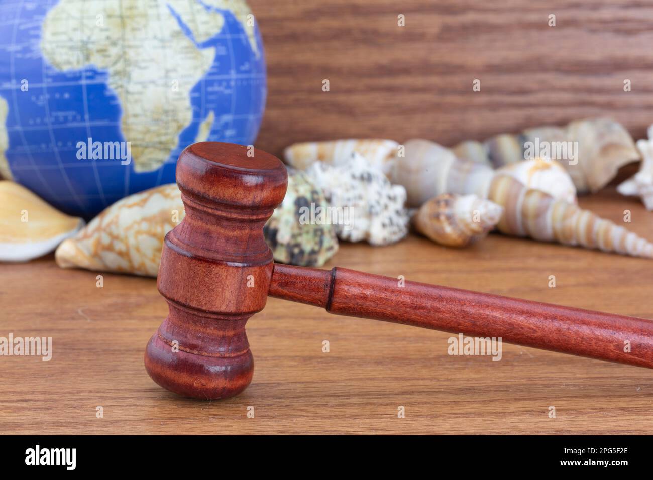 Global marine environment  seen in still life of shells, globe, and gavel reflect the worldwide nature of oceanic regulations and social issues Stock Photo