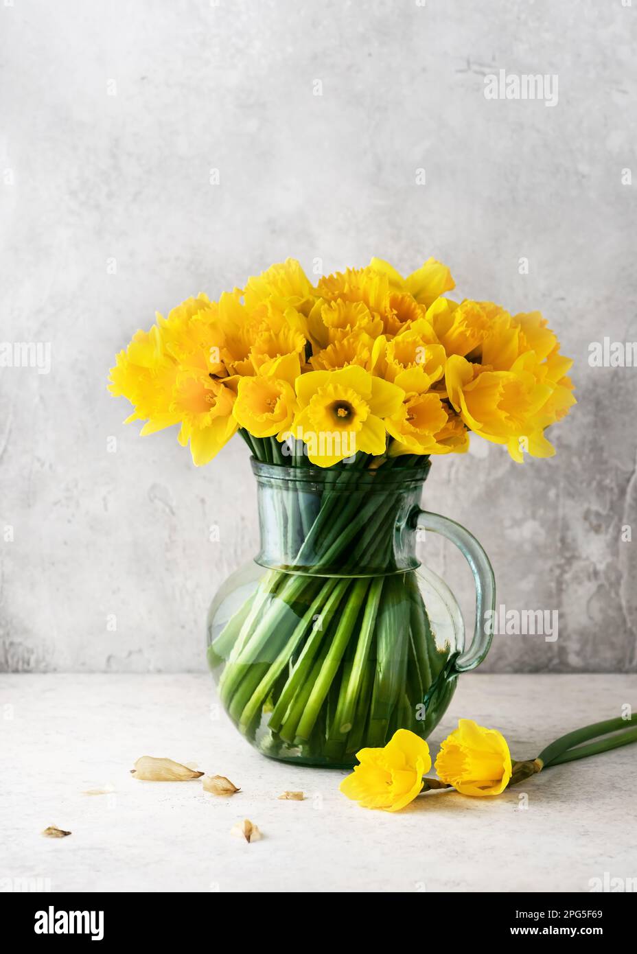 Still life with yellow daffodil flowers in a vintage glass jug. Homemade decoration for Easter or Mothers day. Copy space. Stock Photo