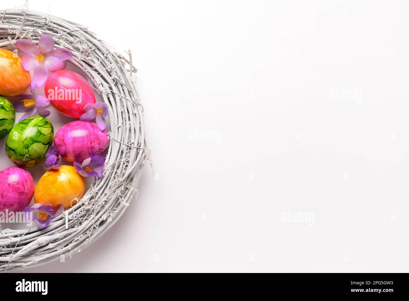 Nest with painted Easter eggs and crocus flowers on light background ...