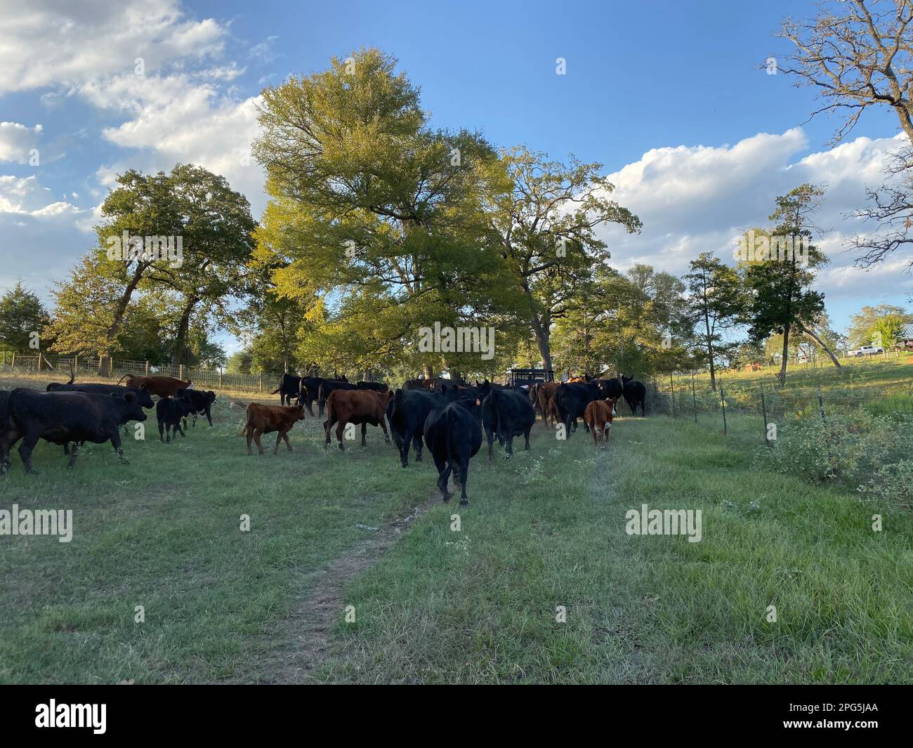 Day At The Ranch