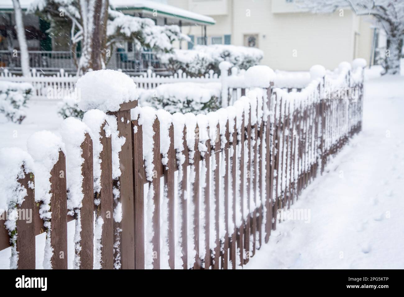 Wet snow covering fenced front yard and shrubs Michigan winter weather