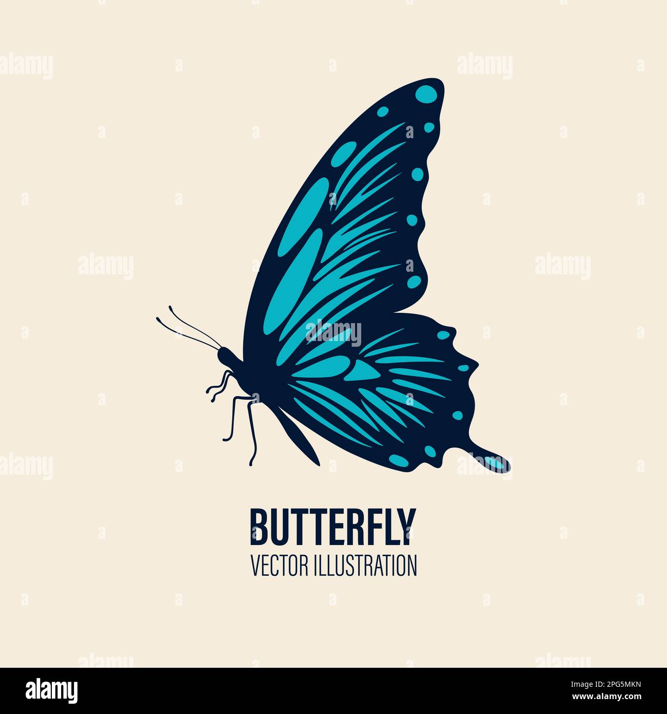 Vector Hand Drawn Butterfly Icon Closeup Isolated on White Background ...
