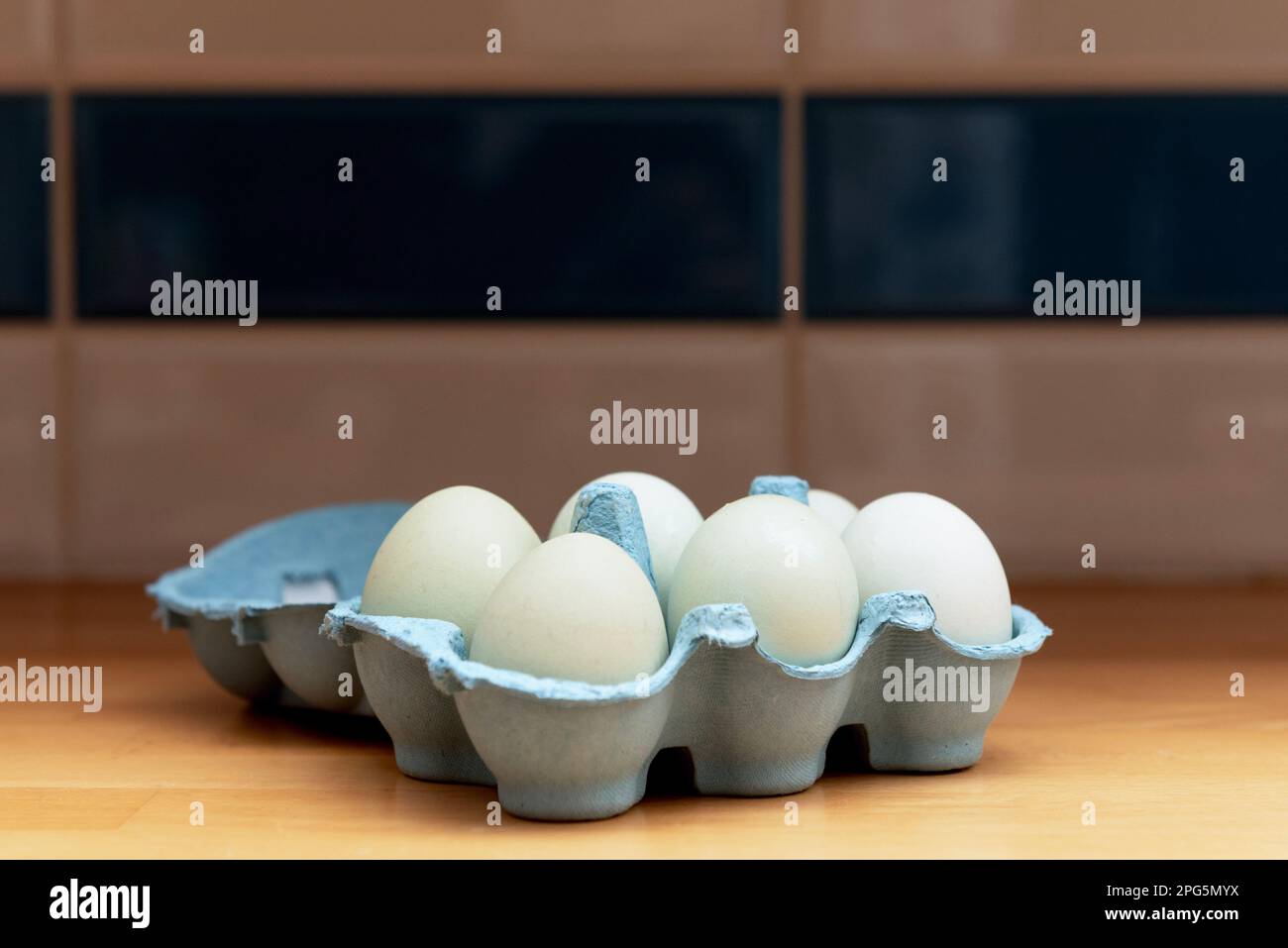 Bluebell Aurancana Eggs Stock Photo