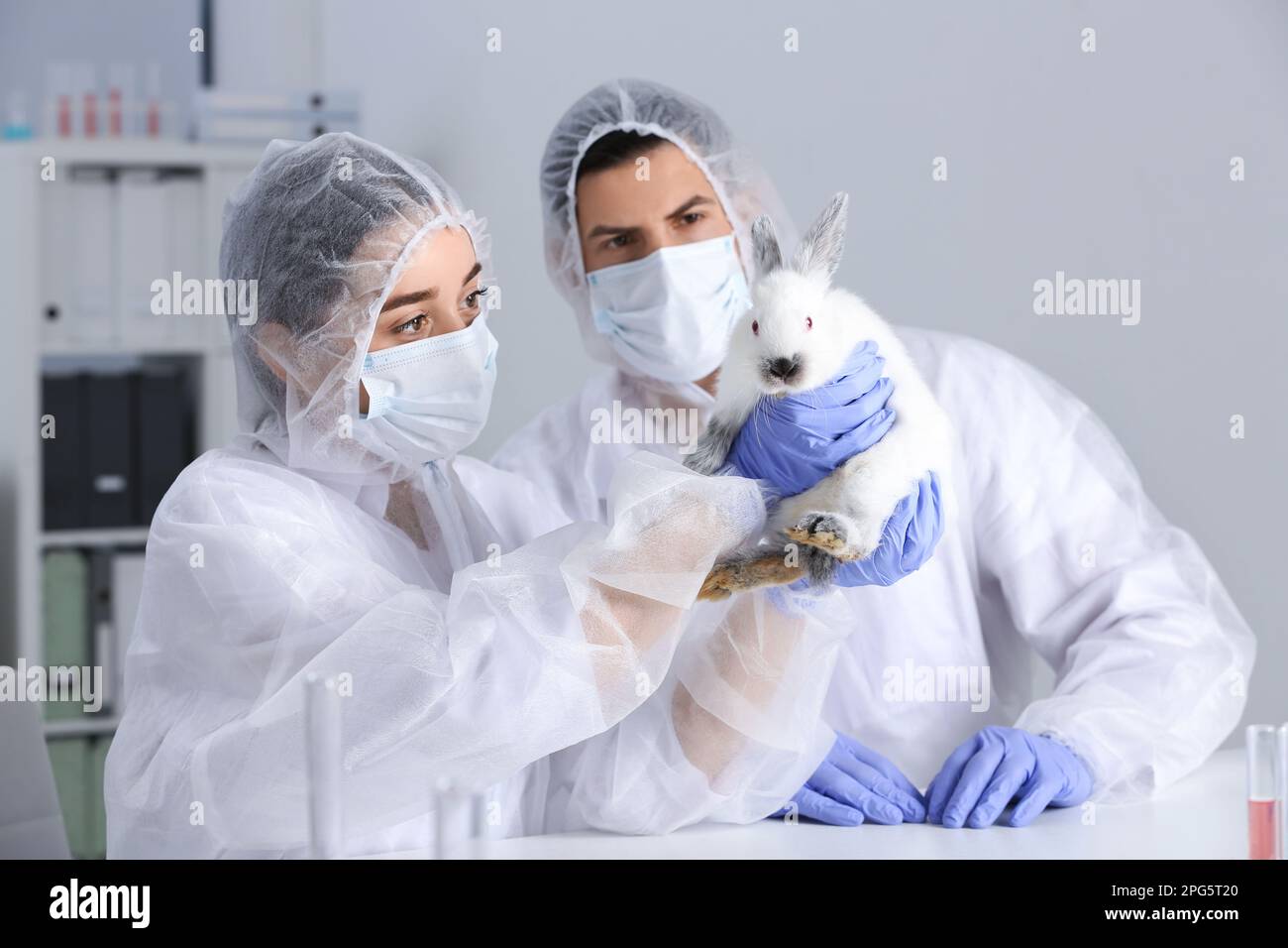 Scientists working with rabbit in chemical laboratory. Animal testing
