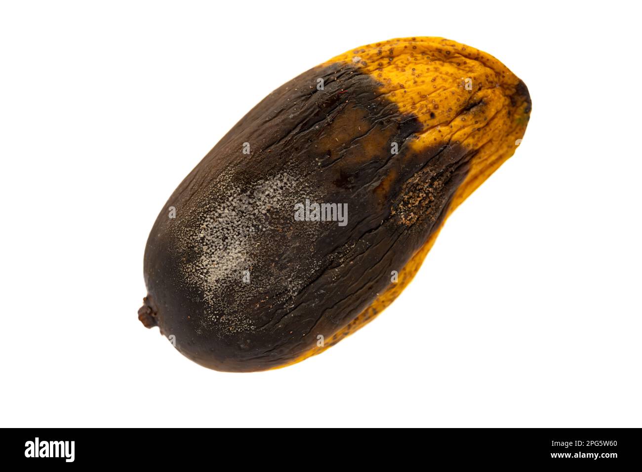 Rotting mango hi-res stock photography and images - Alamy