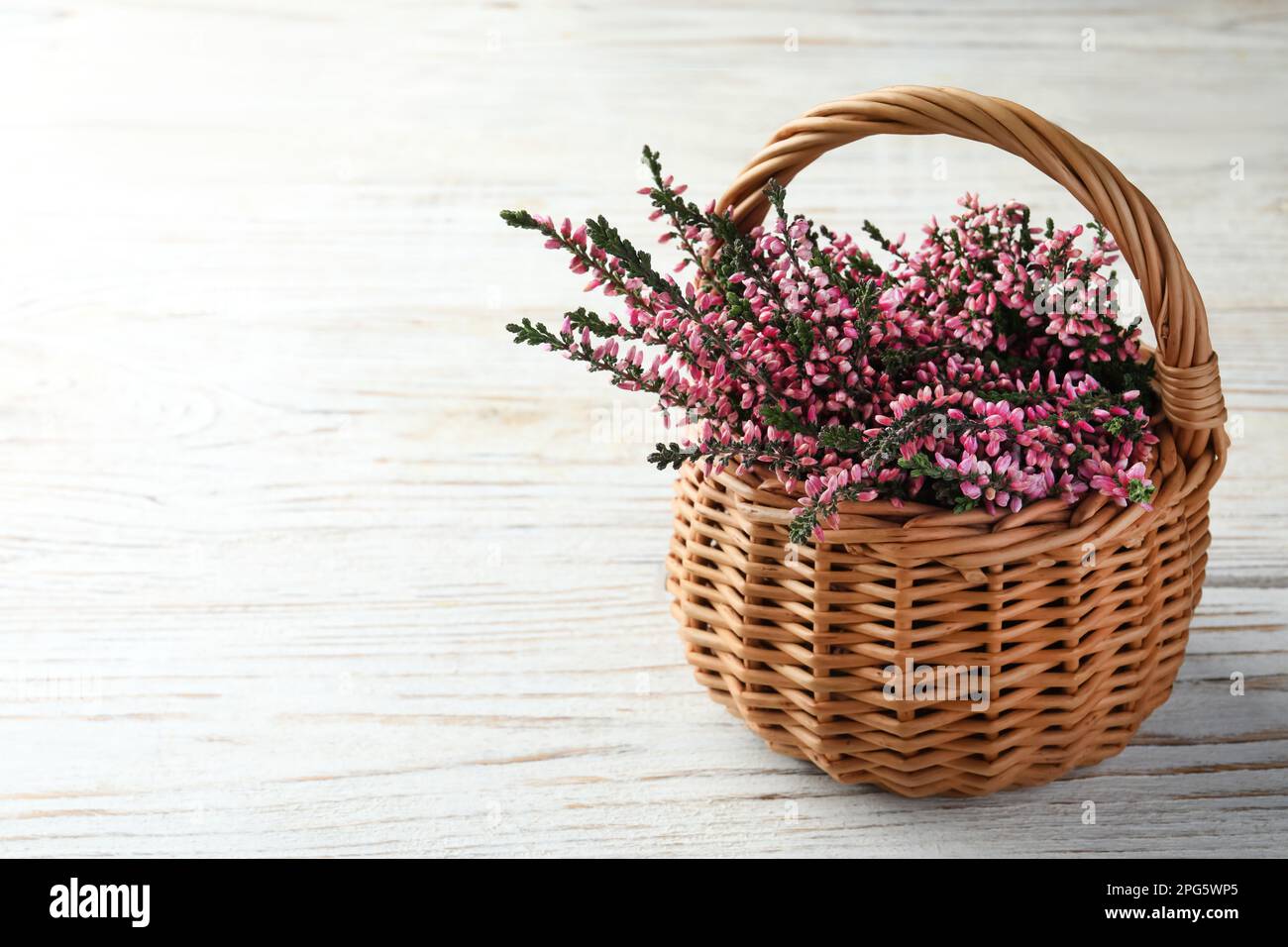 Heather branches with beautiful flowers in wicker basket on white wooden table, space for text Stock Photo