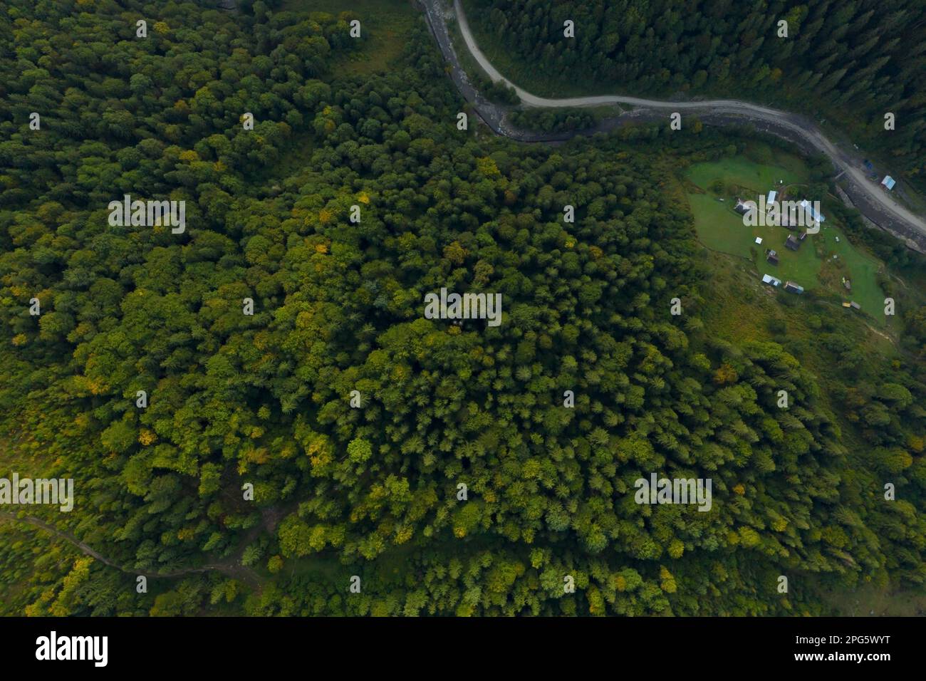 Aerial view of asphalt road surrounded by forest with beautiful green ...