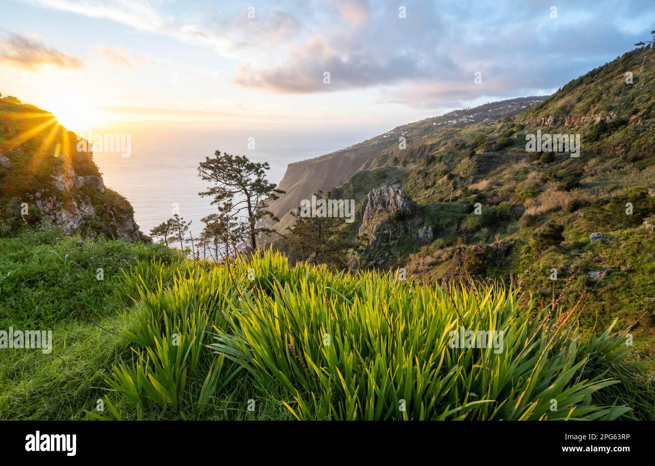 Evening mood, greetings landscape at cliff, sea and coast, viewpoint Miradouro da Raposeira, Madeira, Portugal Stock Photo