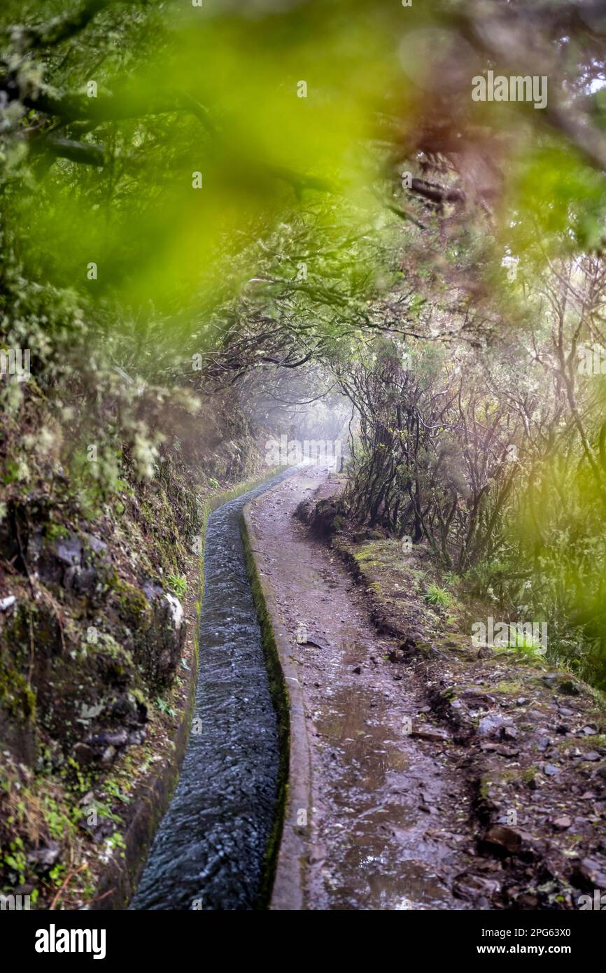 Water channel, on the hiking trail at Levada do Alecrim, Rabacal, Paul da Serra, Madeira, Portugal Stock Photo