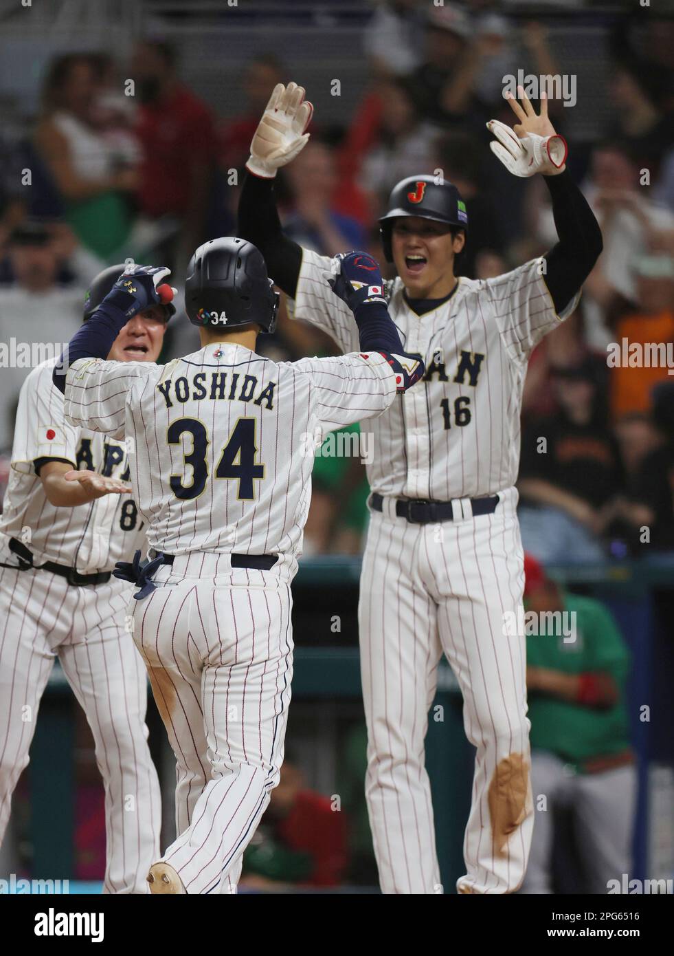 Baseball Signé Masataka Yoshida - Équipe Japon / Boston Red Sox - MLB