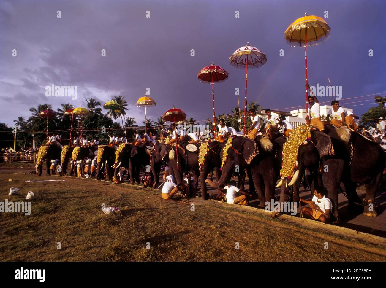 101 elephant, Great elephant march festival in Thiruvananthapuram or Trivandrum, Kerala, India 