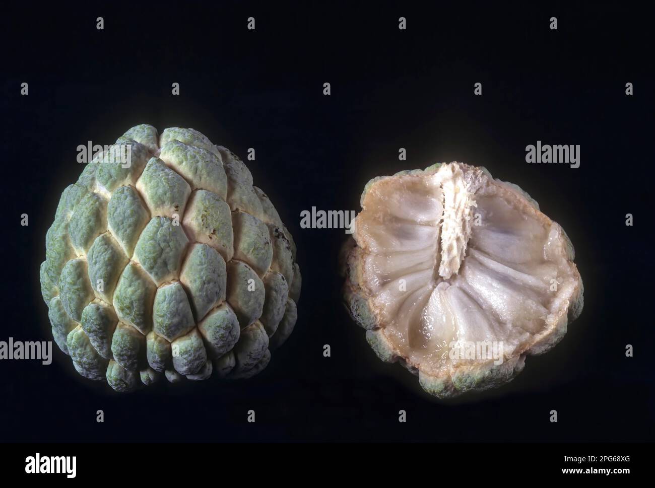 Fruits Custard apple sugar apple (Annona squamosal) on Black background