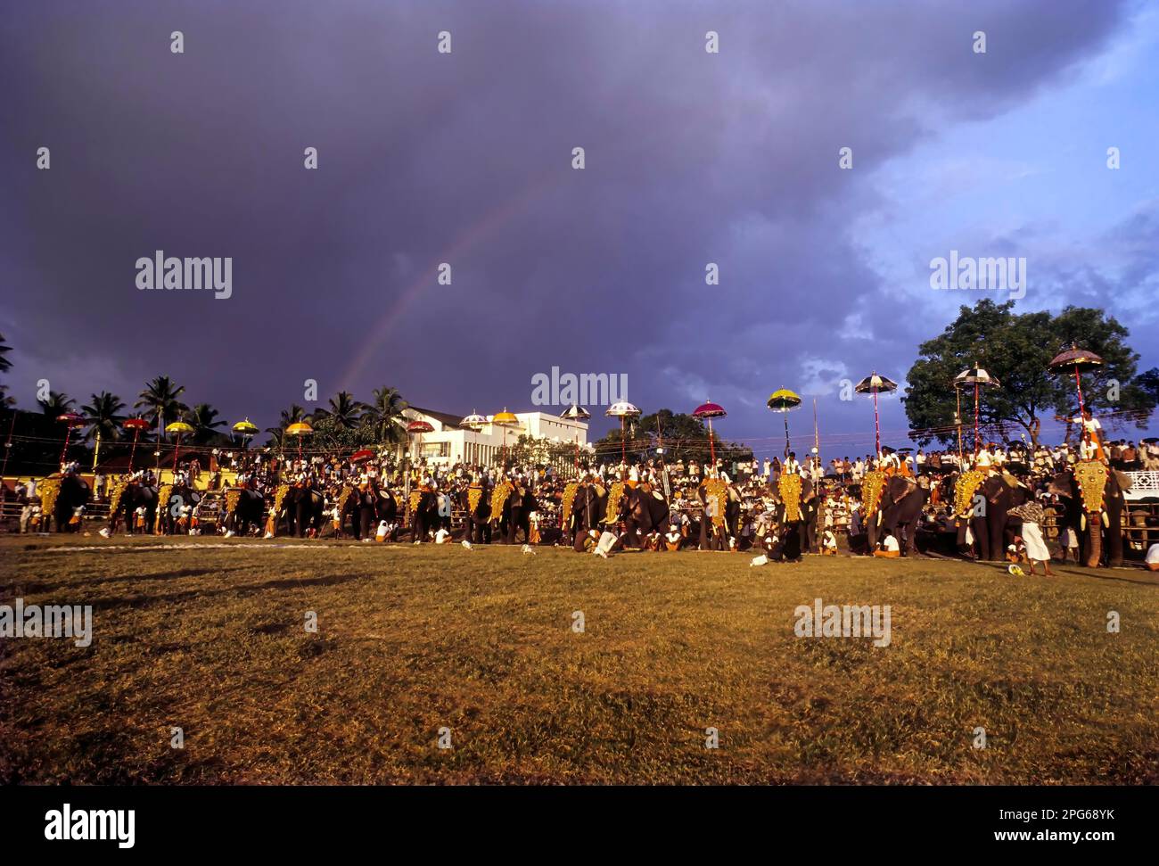 Great Elephant March Festival in Thiruvananthapuram Trivandrum, Kerala, South India, India, Asia 