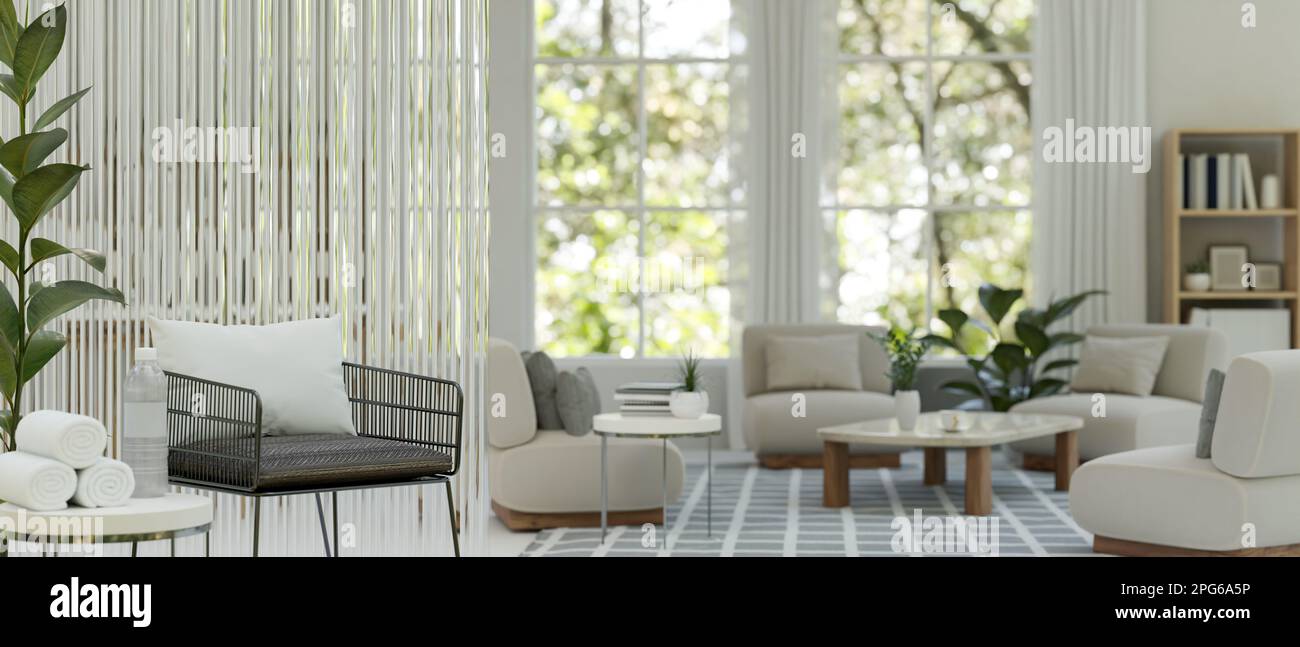 Modern luxury bright spacious living room interior design with