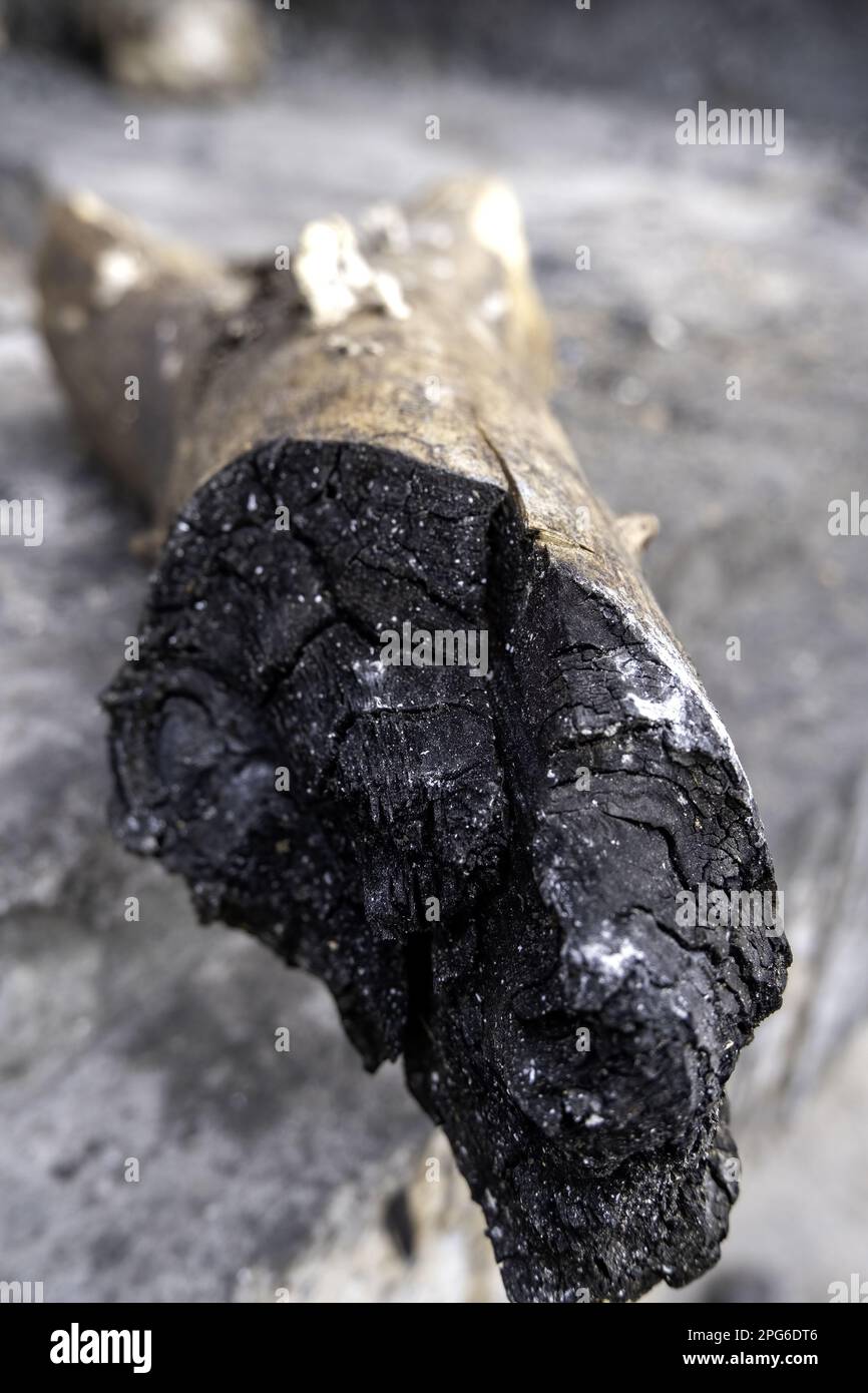 Detail of firewood burned for cooking on the grill Stock Photo - Alamy