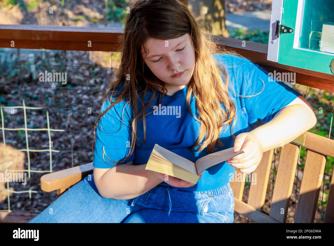 Young girl student sitting on bench and reading a book Stock Photo - Alamy