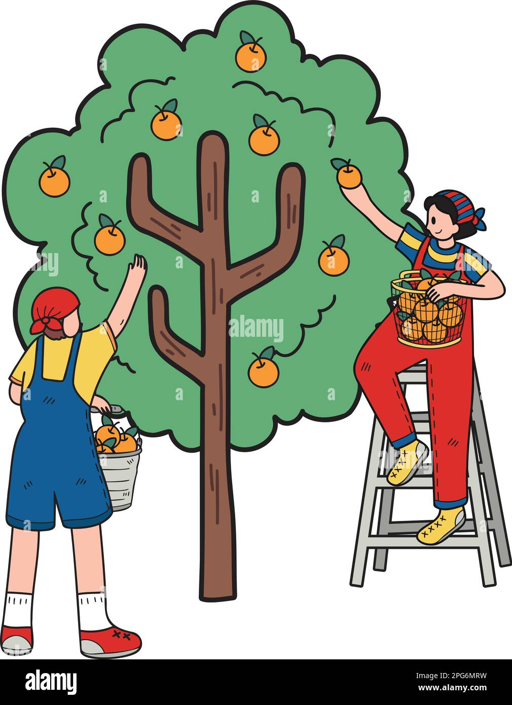 Farmers are picking fruit from trees illustration in doodle style isolated on background Stock Vector