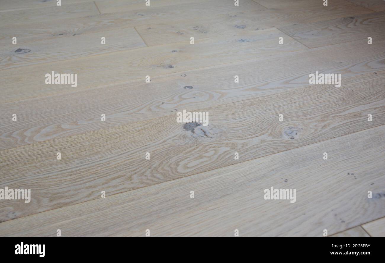 Knots on Hardwood Floor. Wood knots appear as dark rings, circles, or