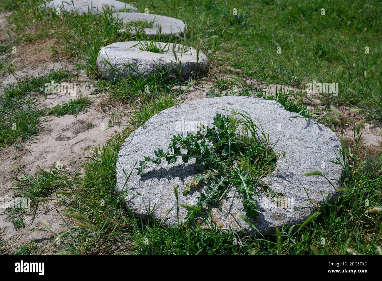 Ancient Rounded Stone Ancient huge round stone millstones of the 6th-10th centuries of ...