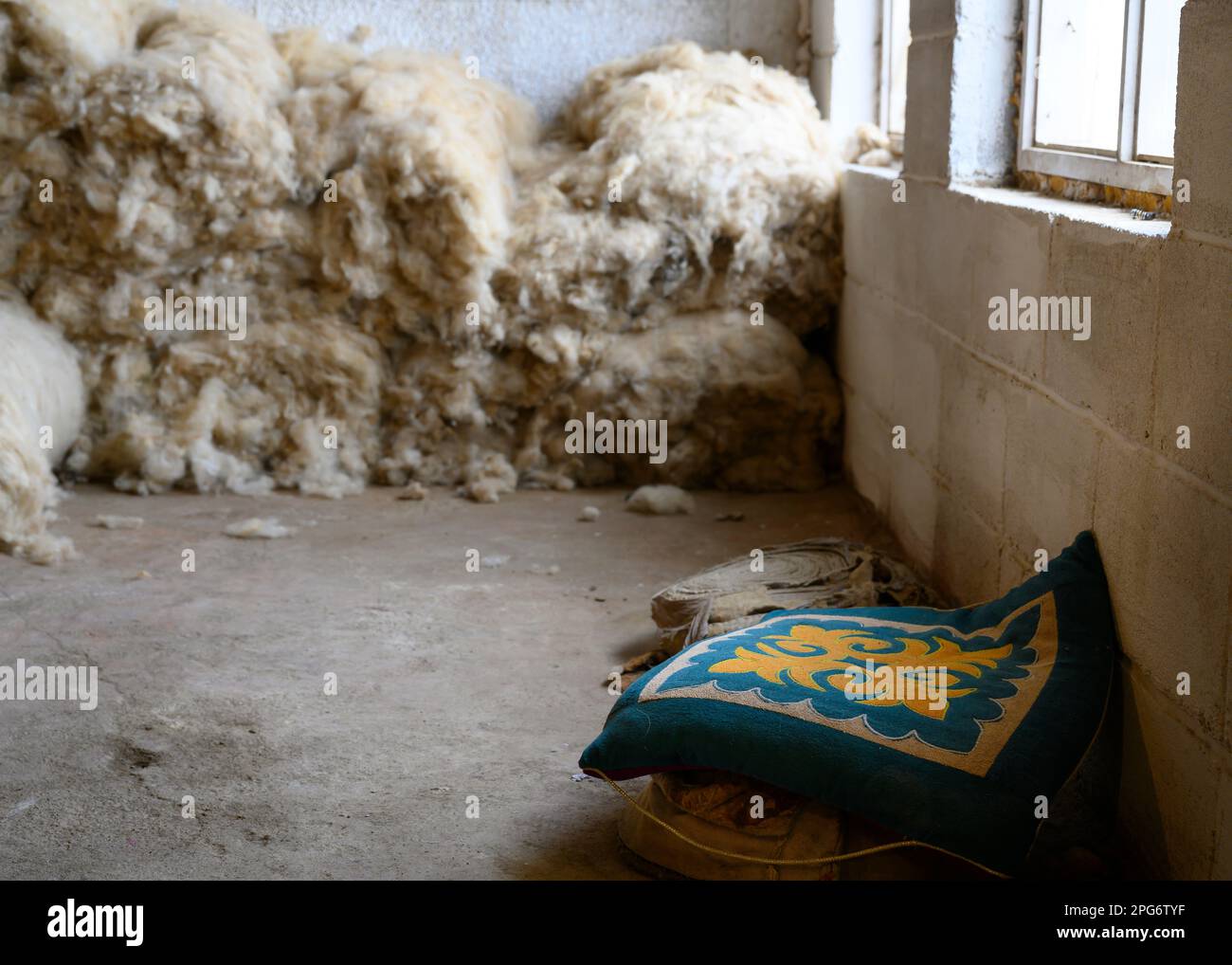 A traditional Kyrgyz pillow with a national pattern in the corner of ...