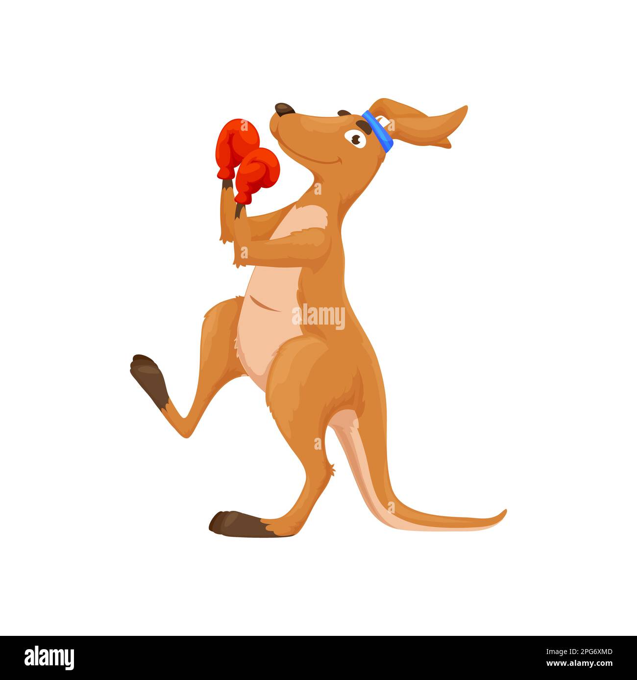 Cartoon boxing kangaroo character. Isolated funny vector australian