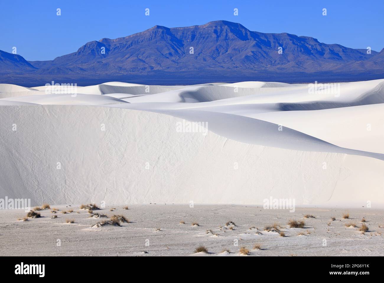 White Sands National Park in New Mexico, USA Stock Photo - Alamy