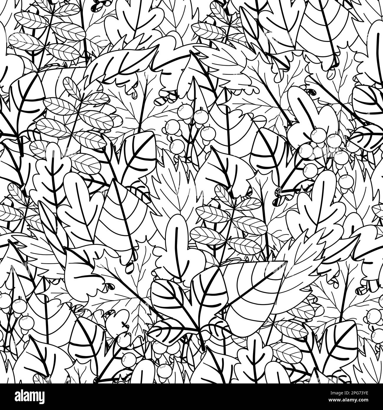 Doodle leaves black and white seamless pattern. Floral print for ...
