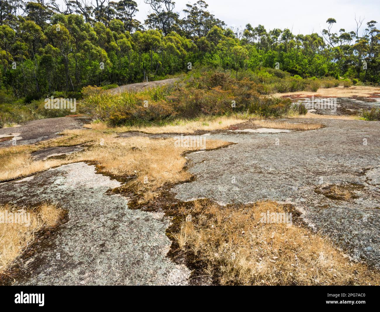 Track marker in distance on granite slab below Hayward Peak on the Nancy Peak walk, Porongurup National Park, Western Australia Stock Photo