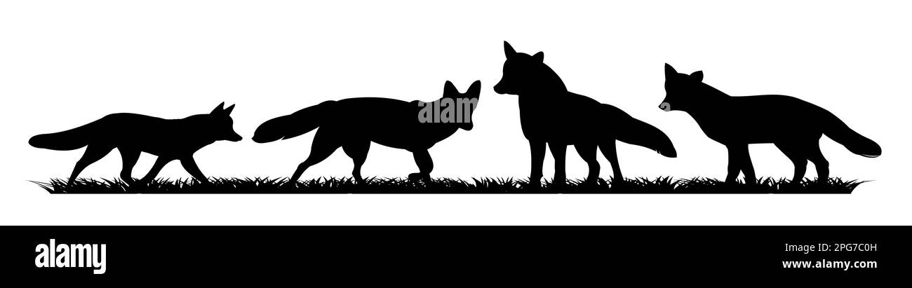 Flock of foxes on grass. Animal silhouette. Wild life picture. Isolated on white background. Vector. Stock Vector