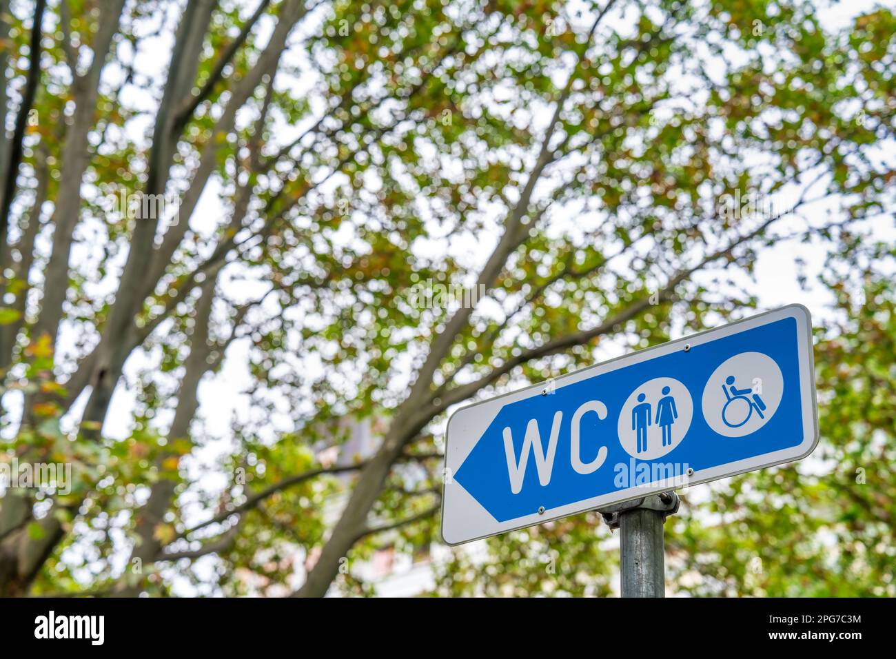 A WC sign in the city, trees in the background. Stock Photo