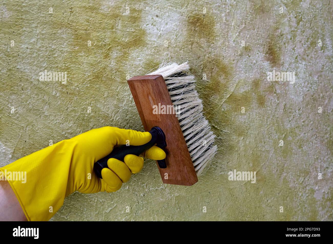 Washing and disinfection of a concrete wall. A hand in yellow rubber