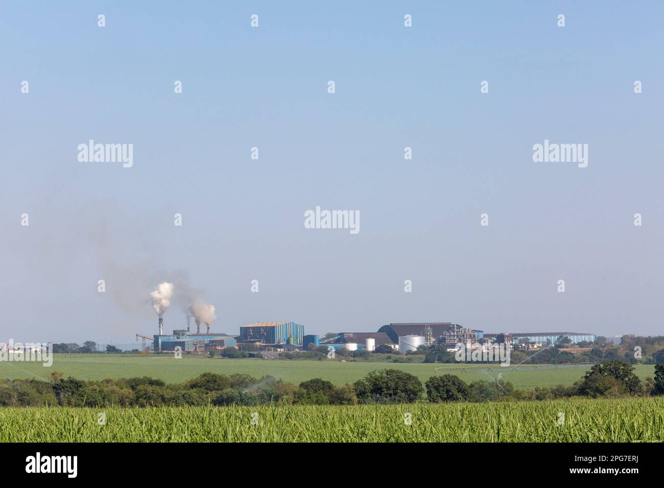 Simunye sugar mill viewed accross irrigated sugar cane fields in the foreground in eSwatini Stock Photo