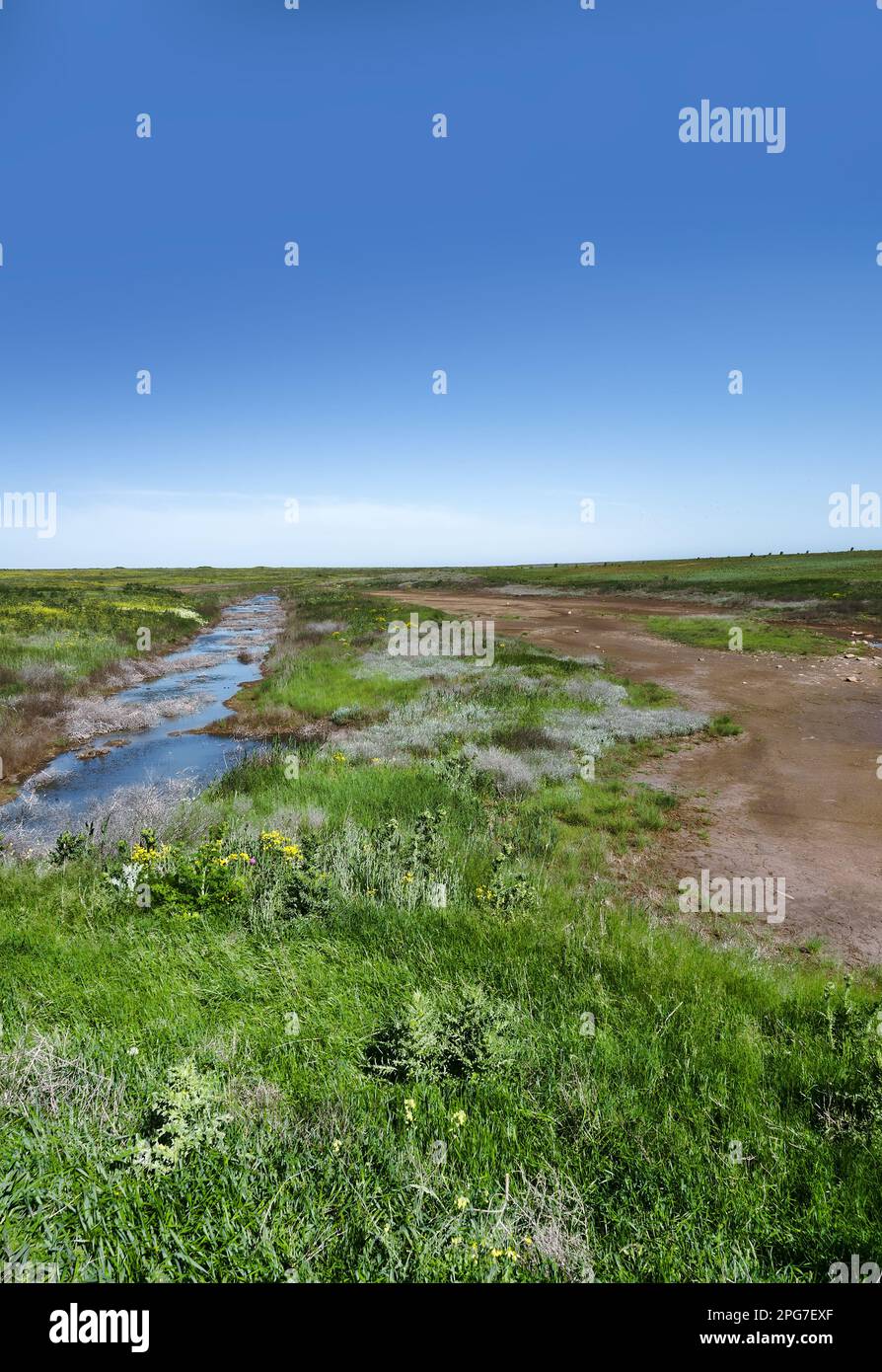 A drying river in the spring steppe, flat plain. Northern Black Sea