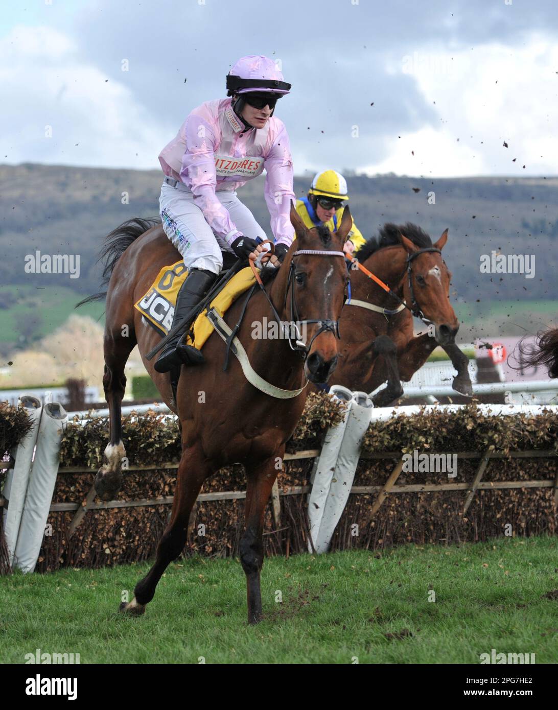Cheltenham racecourse, horse racing hi-res stock photography and images ...