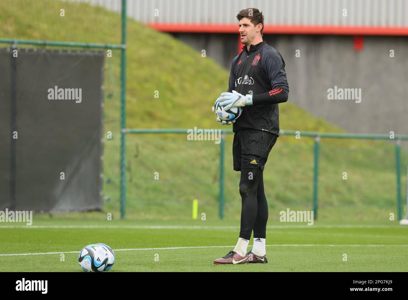 Impact on Belgium’s “Golden Generation” Impact on Belgium’s “Golden Generation”