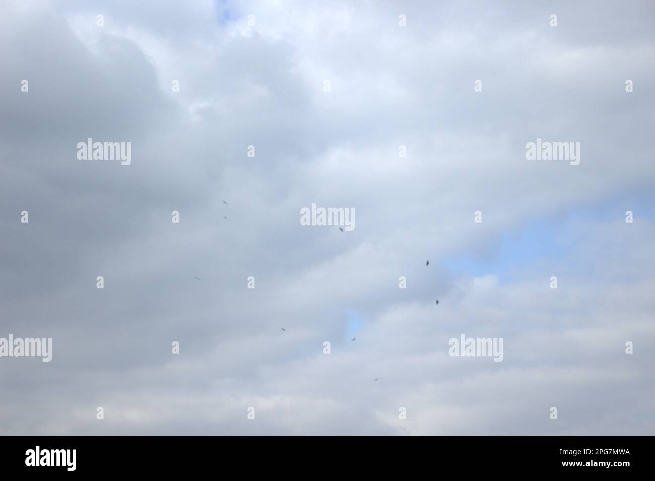 The beautiful fluffy clouds in the blue sky Stock Photo - Alamy
