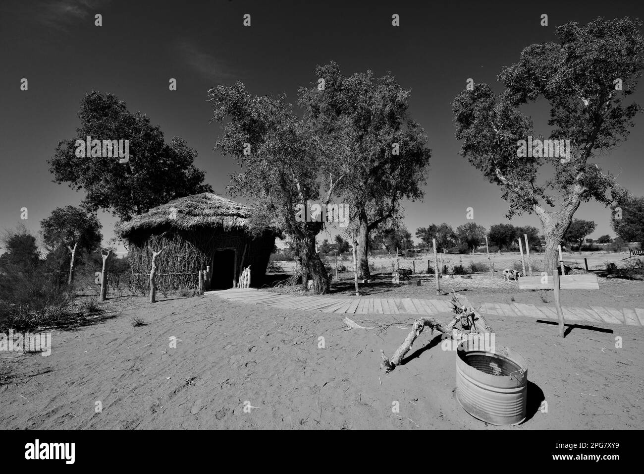 The roots of Lop Nur people can be traced back thousands of years. They