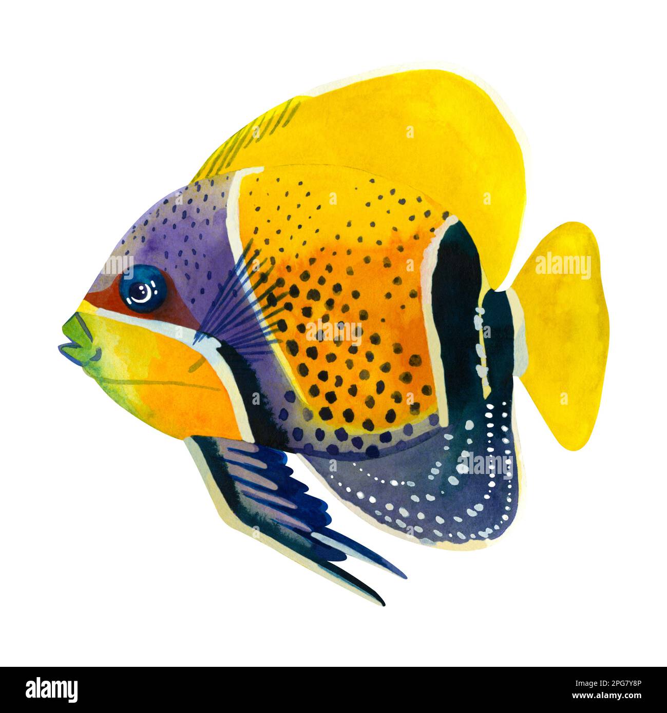 Fish of the Red Sea. Bright yellow fish with blue dots hand painted in watercolor on a white background. Suitable for printing on fabric, paper Stock Photo