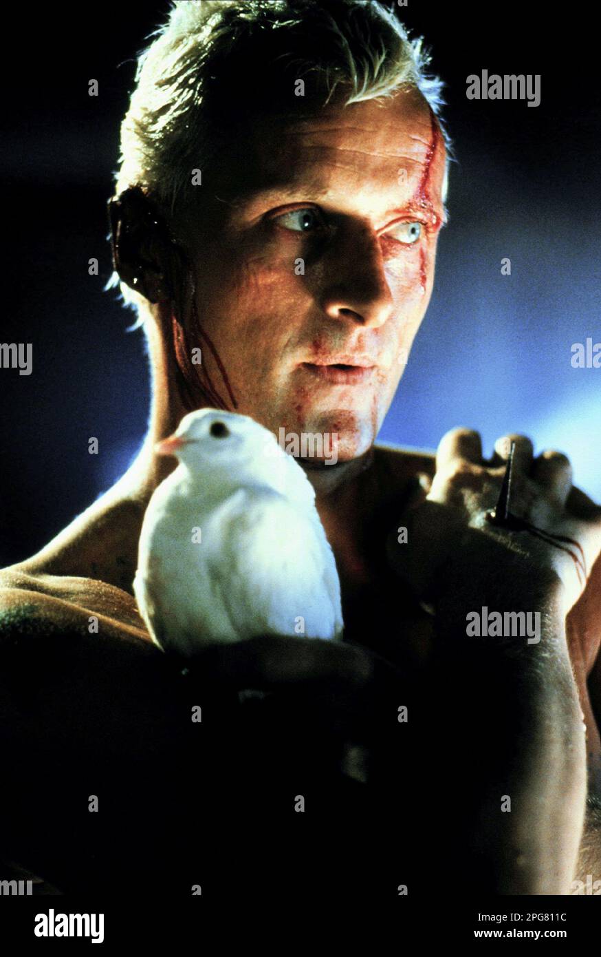 Blade Runner  Rutger Hauer Stock Photo