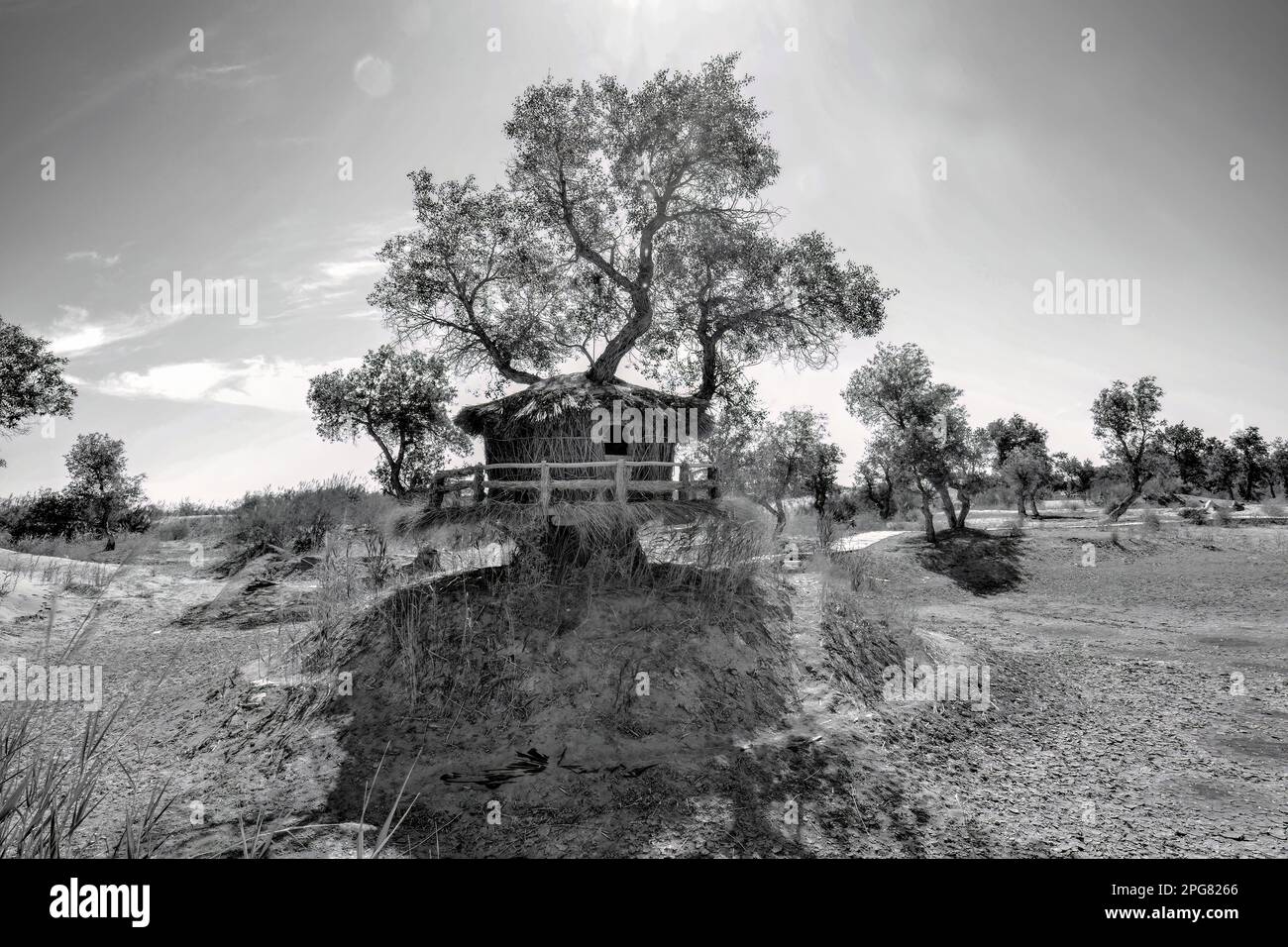 The roots of Lop Nur people can be traced back thousands of years. They depended basically on fishing for their livelihood Stock Photo