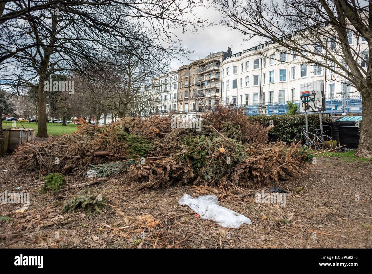 Brighton, March 19th 2023 84 days after Christmas, one of Brighton's