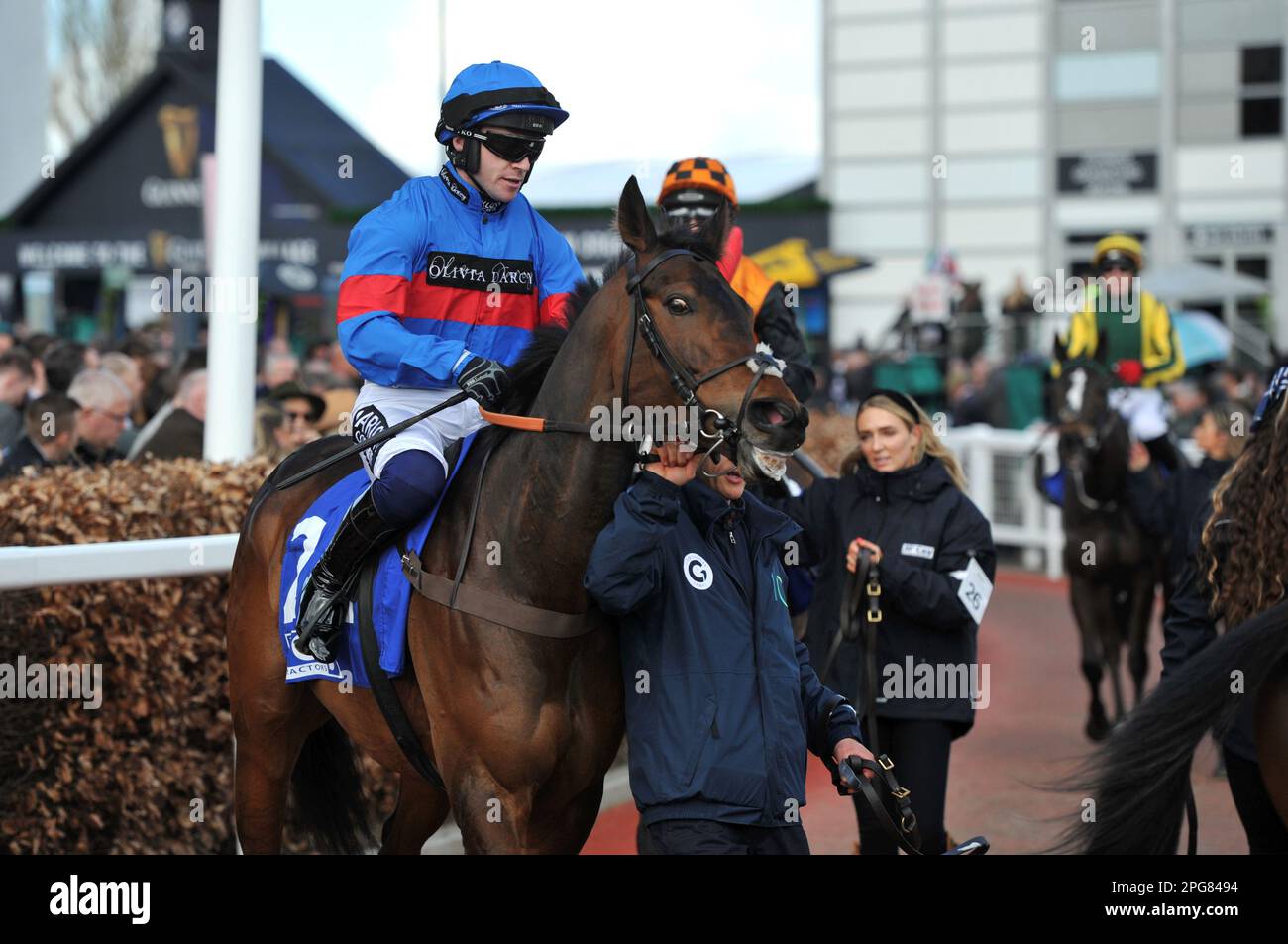 Gin coco horse hires stock photography and images Alamy