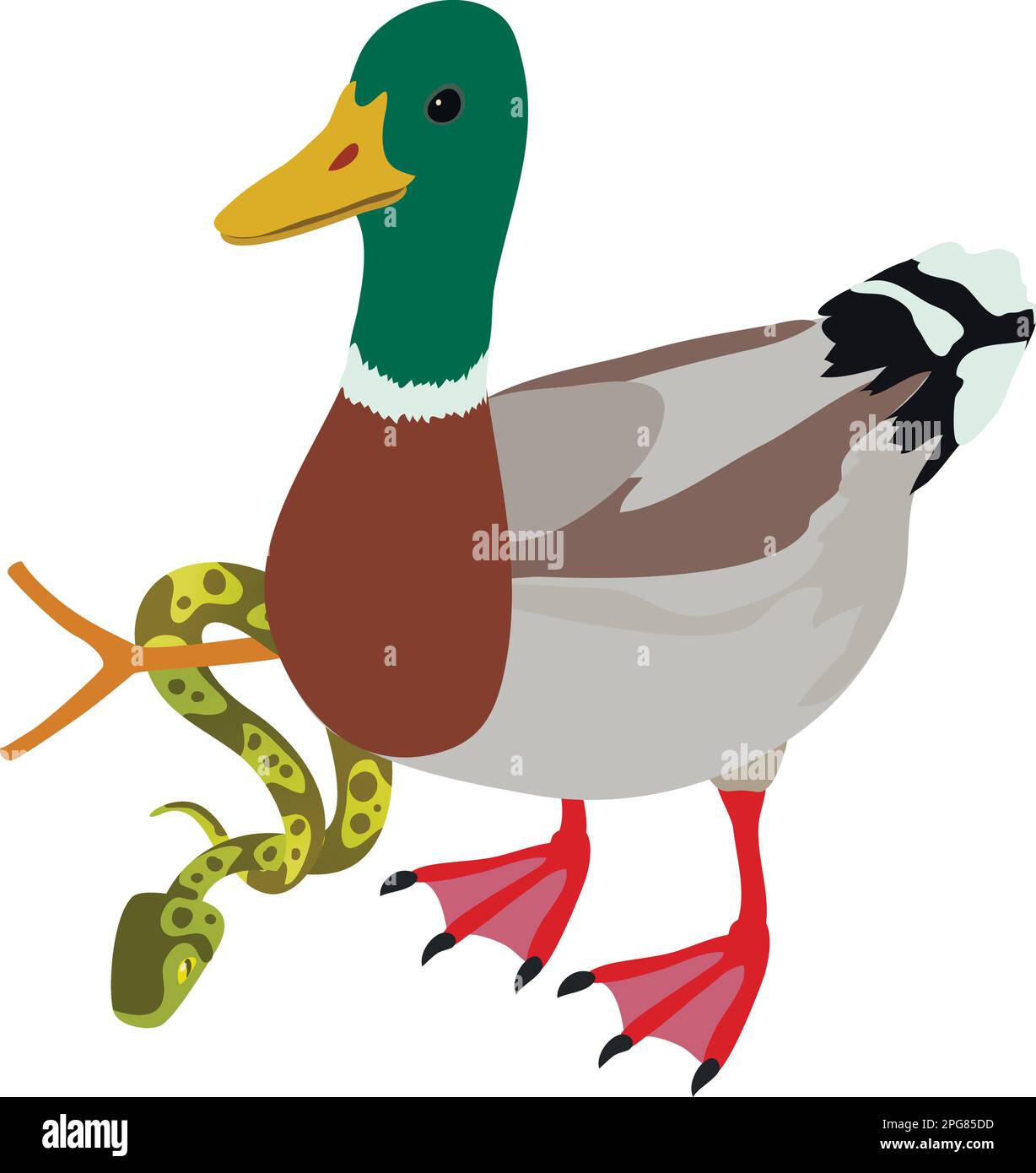 Animal world icon isometric vector. Colorful wild duck drake near tree ...