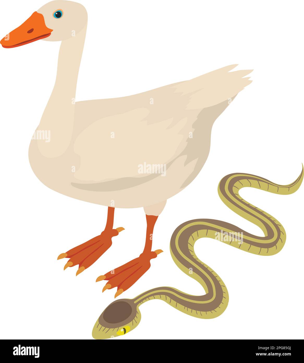 Bird snake neck Stock Vector Images Alamy